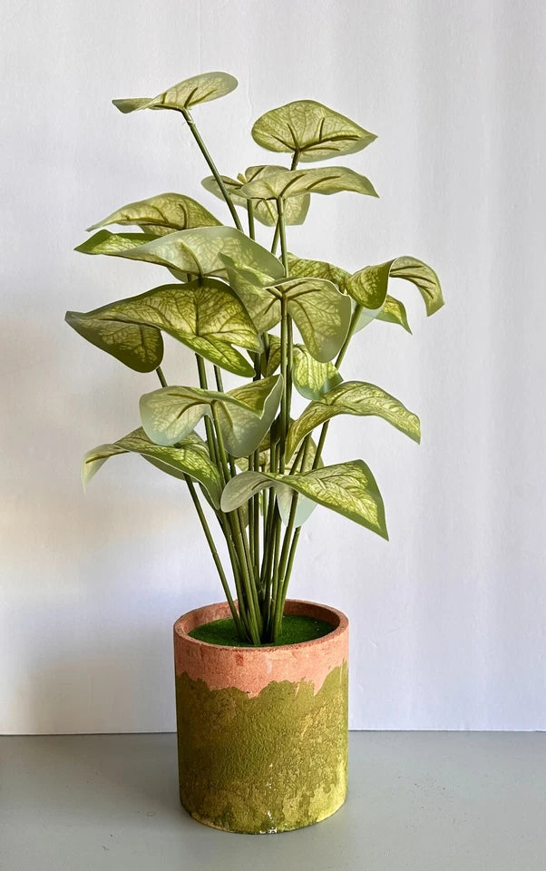 Artificial Green Leaf ,Potted Green Leaf Faux Plants Potted Caladium Plant