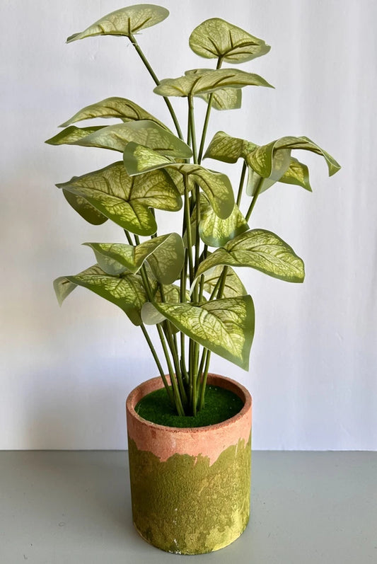 Artificial Green Leaf ,Potted Green Leaf Faux Plants Potted Caladium Plant
